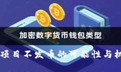 区块链项目不发币的可能